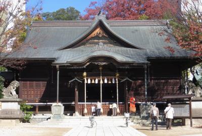 2015秋、四柱神社と松本城(1/3)：四柱神社、狛犬、本殿