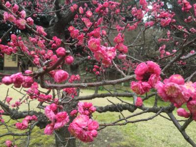 徳川美術館～熱田神宮