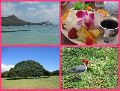 美しい自然がいっぱいのハワイ・オアフ島観光