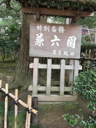 兼六園  春のおとずれ梅林