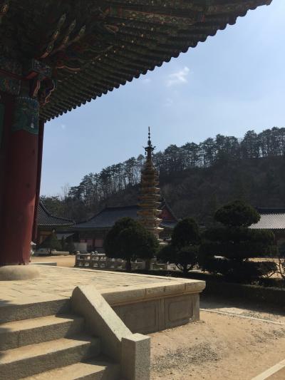 江陵(カンヌン)に行ってきました!!