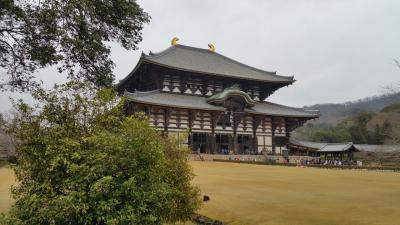 修学旅行以来の東大寺
