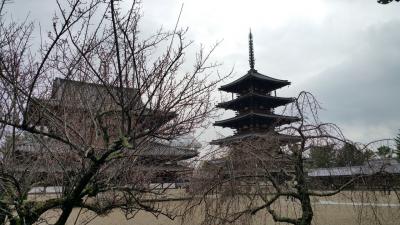 連休の穴場(初めての法隆寺)