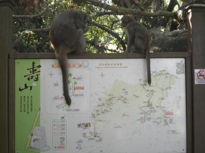 訪台4度目 台北-台中-台南-高雄 の旅 vol.3