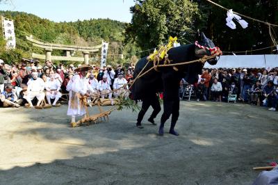 諸田山御田植祭