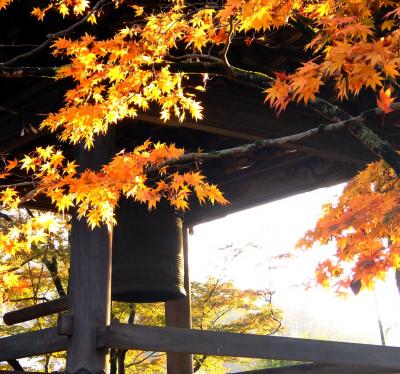 湯回廊菊屋と紅葉の修善寺温泉【２０１５】一日目