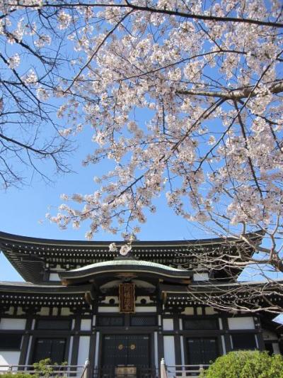 目黒区内の桜名所巡り②2015年3月