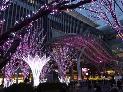 博多ちょい旅　その３（大宰府と桜イルミネーション）