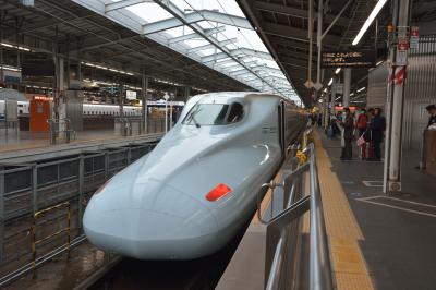 ２０１６年博多・湯布院　美味しいもの食べて温泉につかる旅～博多編～