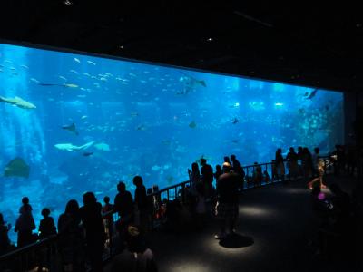 3泊6日シンガポールの旅　～海外初心者2人を連れて～　③　セントーサ島の水族館へ