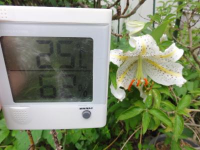 夏に熱い沖縄へ：いわて花巻空港から石垣島:石垣牛炭火焼肉　やまもと