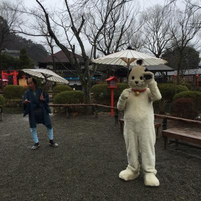 雨の日光