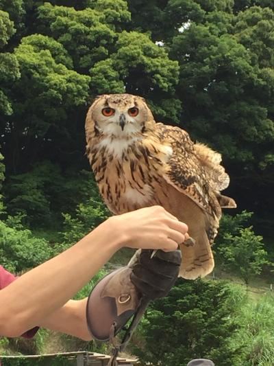 鳥と仲良しin花鳥園