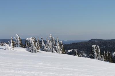 黒い森の雪山歩き　2日目はフェルトベルクからスイスの名峰を眺める