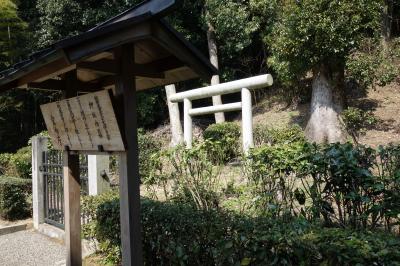 動画　墓ばっかし・・　舒明天皇内陵　鏡女王墓　大伴皇女内陵