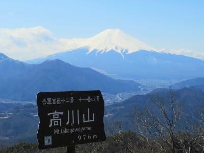 「秀麗富嶽十二景」の高川山に登る