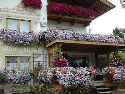 オーストリアのチロル＆エーアヴァルト、ドイツのバイエルンの旅　【５４】　お花溢れるエーアヴァルトとレルモースを再び