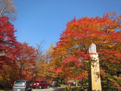 紅葉の新穂高とひるがの高原コキアパーク