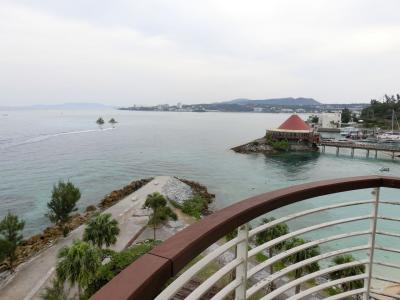 冬の沖縄へVol.2[恩納周辺](2016年1月)