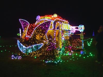 辰野・・荒神山公園のイルミネーション