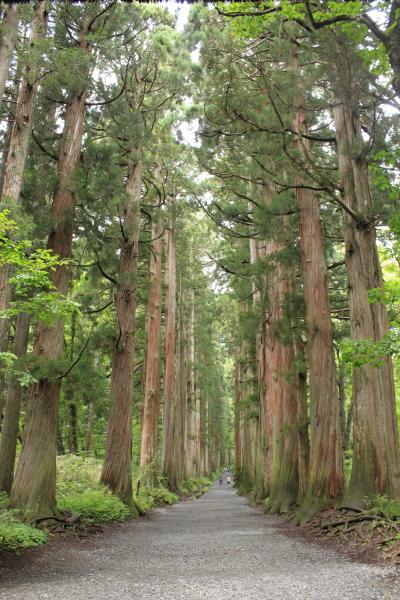 夏の終わりの欲張りツーリング、その4★戸隠で深呼吸、そして帰るまで。