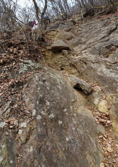 低山ながら登攀もあり登りごたえのある吾妻山、３００種類の花梅が見られる農林公園/群馬・桐生、埼玉・熊谷