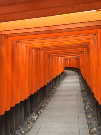 お誕生日記念＊京都を極める第1弾　伏見稲荷～東福寺