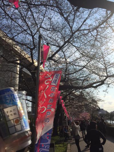 2016/3/27　隅田公園　2分咲きお花見