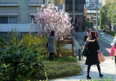 楽しい仲間の案内で　神楽坂散歩