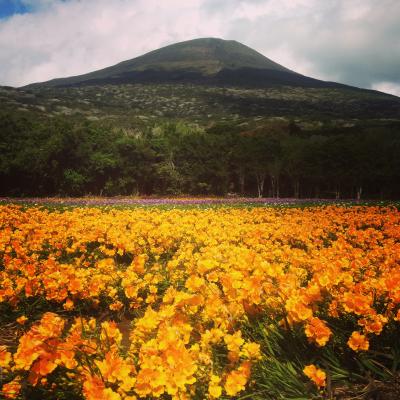八丈島・行きはフェリー帰りは飛行機