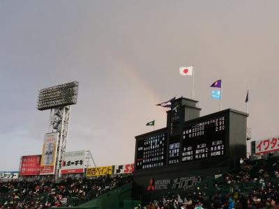 準決勝第四試合目（海星８−１７高松商）