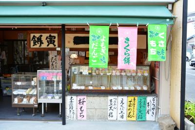 祇園白川を遡れば・・・京都の桜情報！2016年