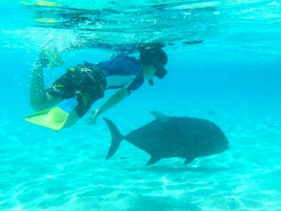 7歳子連れクック諸島（母子旅行）