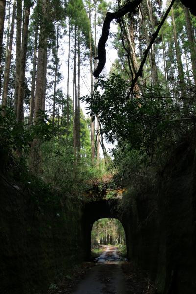 ちょっとジブリを感じに。千葉県市原市月崎の素掘りトンネル