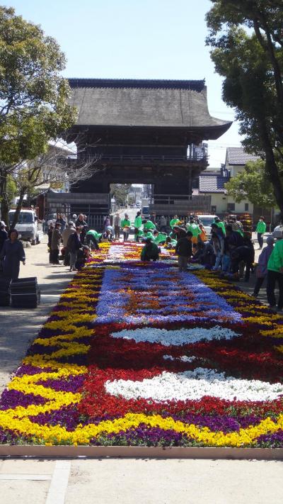 H28年 甚目寺観音さんにて