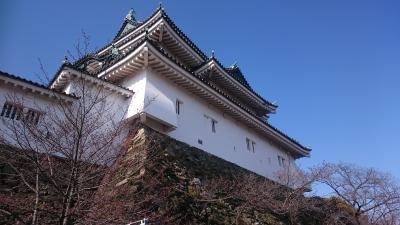 和歌山県和歌山市 和歌山城