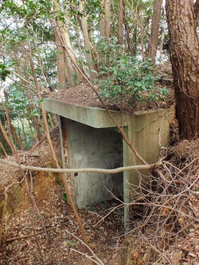 とびしま海道・山と龍馬と戦跡とロケ地:5日目(6・完)