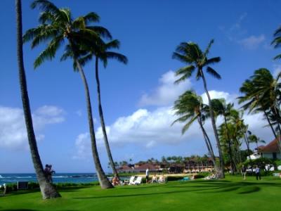 2012　ハワイ　オアフ島 と カウアイ島