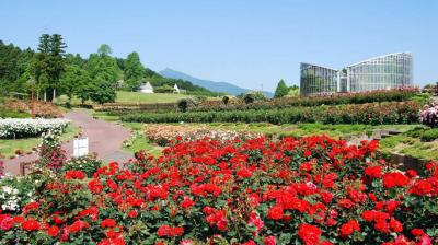 茨城県フラワーパーク