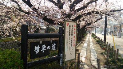 初春の京都 花見旅 2016　②　哲学の道篇