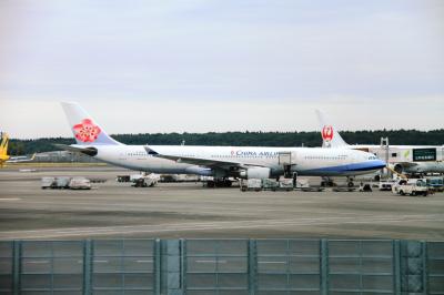 子連れ旅行　台湾　その1　台北１０１に昇って、美味しい物食べて、夜市へ行くのだ