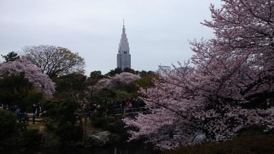 東京の桜2016