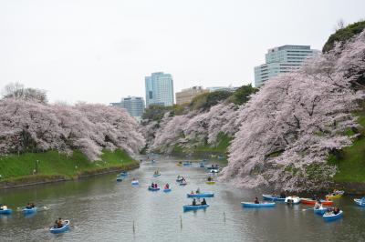 東京ＳＡＫＵＲＡ散歩　　満開の千鳥ヶ淵・ちょこっとだけ上野公園・夜桜は五反田の目黒川