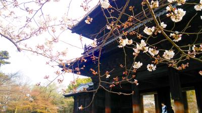 初春の京都 花見旅 2016　③　南禅寺～インクライン篇