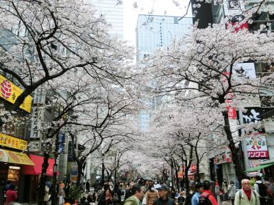 東京快適散歩 ⑭ ー 日本橋界隈を歩く