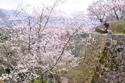 桜の岡城