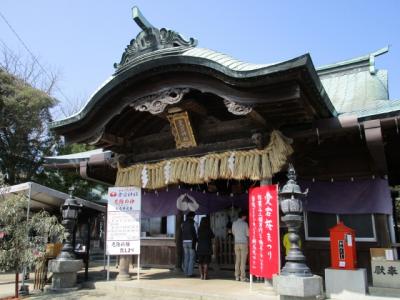 愛宕神社　博多の眺望と菜の花