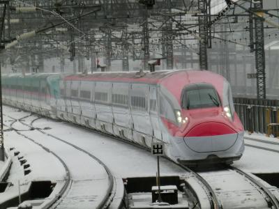 大雪の中、宮城に