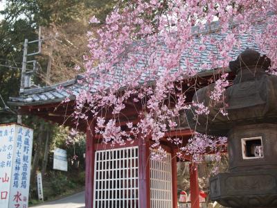 狭山観音霊場巡り【１】歩いて巡る第１番～第７番と狭山不動尊、中氷川神社