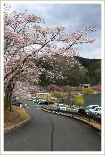 Solitary Journey ［1738］ 北広島町昔ながらの町並み＆のどごえ公園の桜＆志和町志和堀の古い町並み＜土師ダム＞広島県安芸高田市